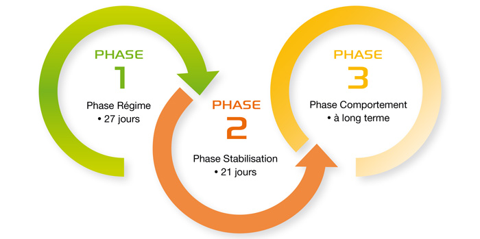 Plan_en_3_phases